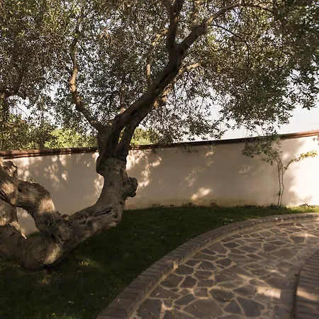 Residenza Il Sole Bed & Breakfast Monopoli