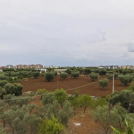 Residenza Il Sole Bed & Breakfast Monopoli