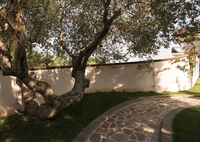 Residenza Il Sole Bed & Breakfast Monopoli